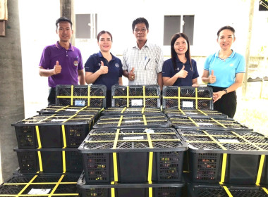 กระจายผลไม้ “มังคุด” พารามิเตอร์รูปภาพ 2